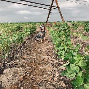 Meet your Posher, Jacob
